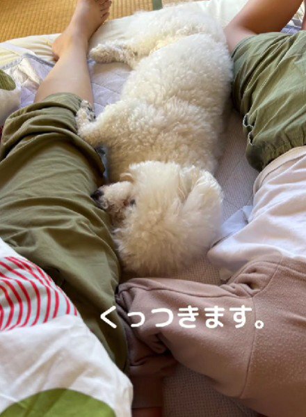 こっそりくっつく♡