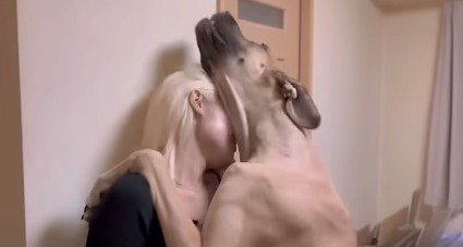 女性に抱きつく超大型犬