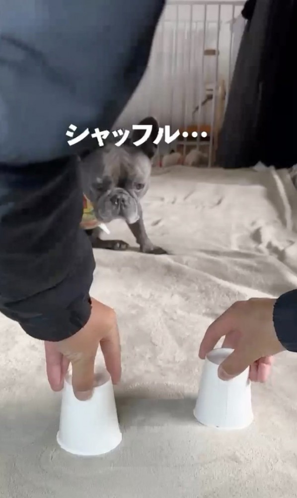 真剣な眼差し