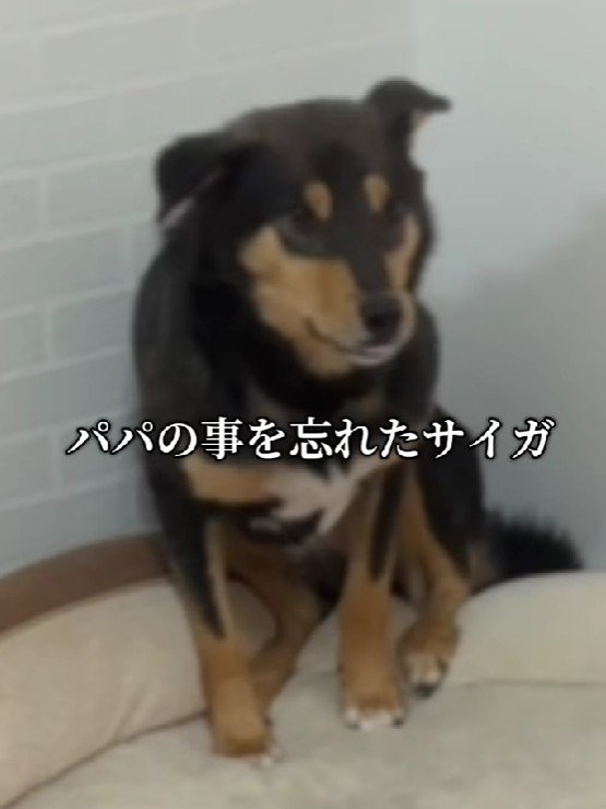 「おまえだれ…？」