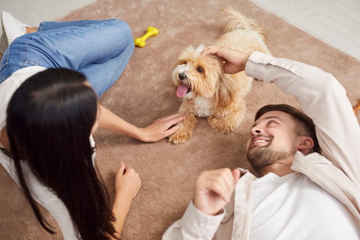 犬と遊ぶ夫婦