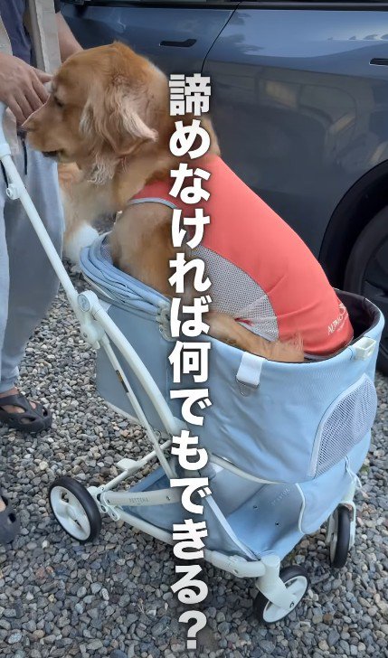 すっぽり収まった！！