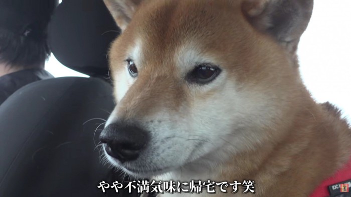 「やっぱり許せない…」