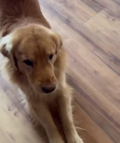 まさかの塩対応！？