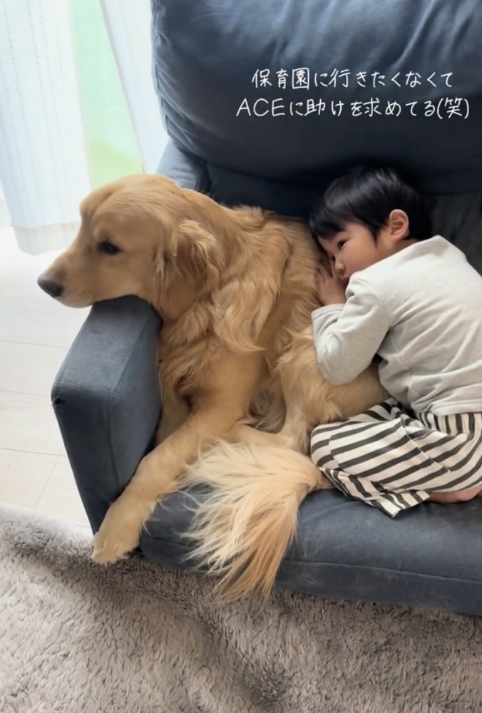 見ていると、思わずほっこり