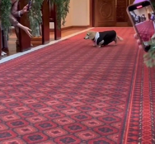 意気揚々と入場