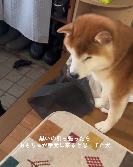 絶望の表情にクスッ