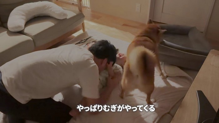 むぎちゃんが傍に来た