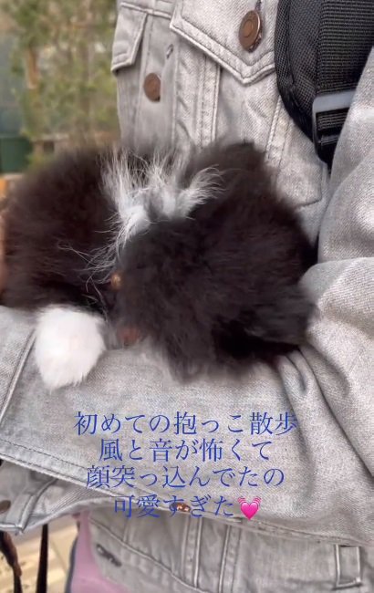 また顔をうずめるレイくん
