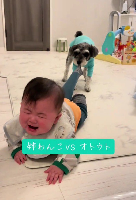「そっちに行っちゃダメだよ！！」