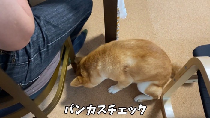 「カスが落ちてないかな?」とチェック