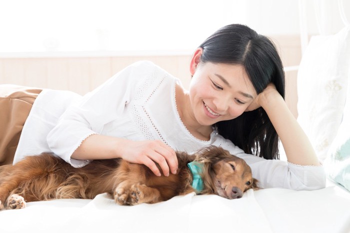 女性の横でウトウトする犬