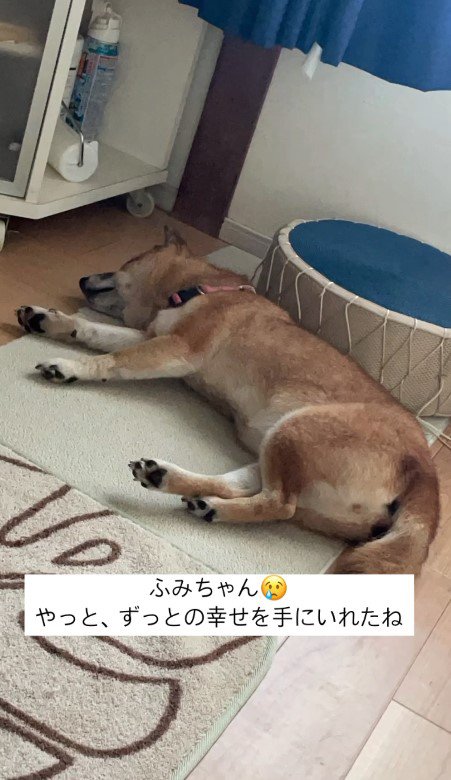 幸せであふれますように