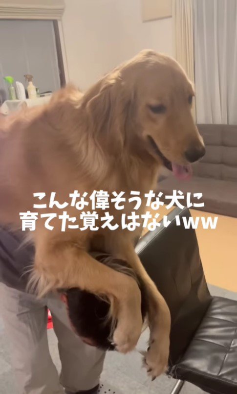 おんぶしてもらうおさる君