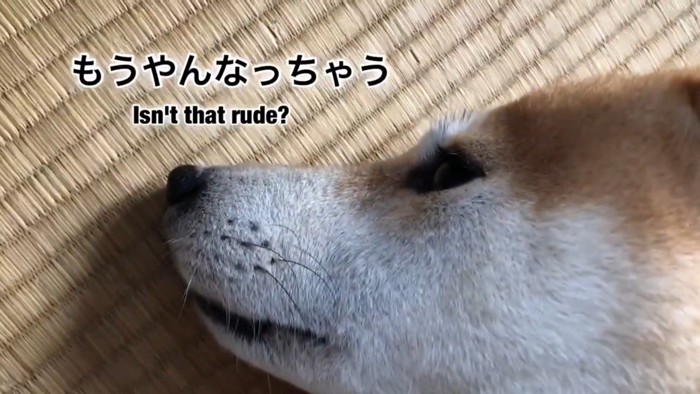 迷惑そうなお顔（笑）