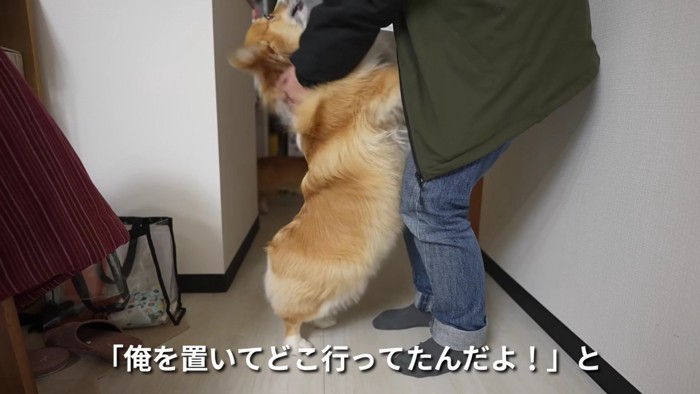 熱烈大歓迎♡