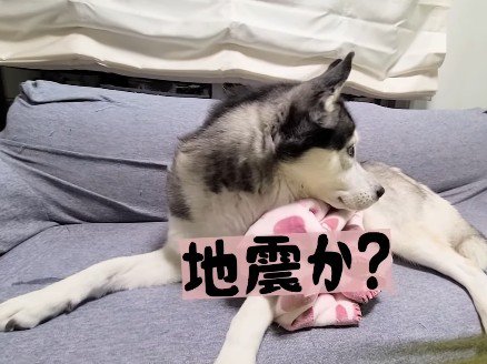 「なにか起きた？」