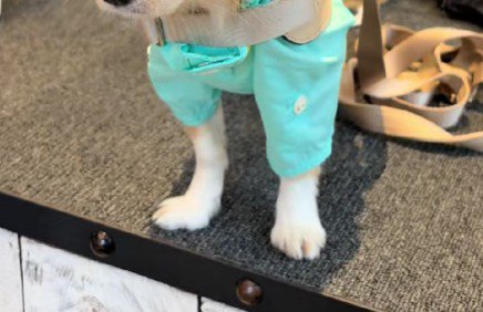 レインコートを新調