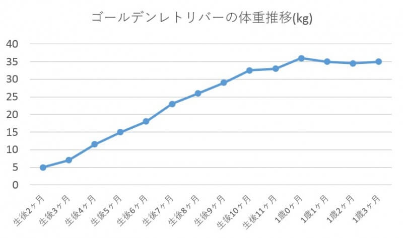 ゴールデンレトリバーの体重