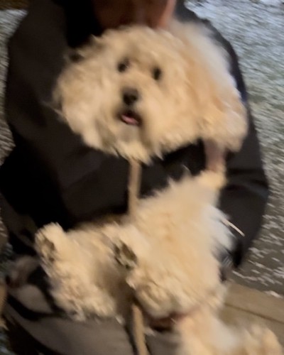 まさかの