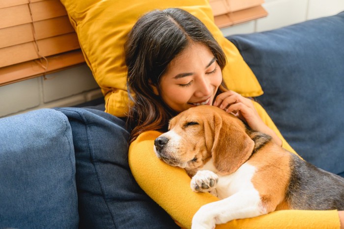 飼い主さんに抱っこされて寝る犬