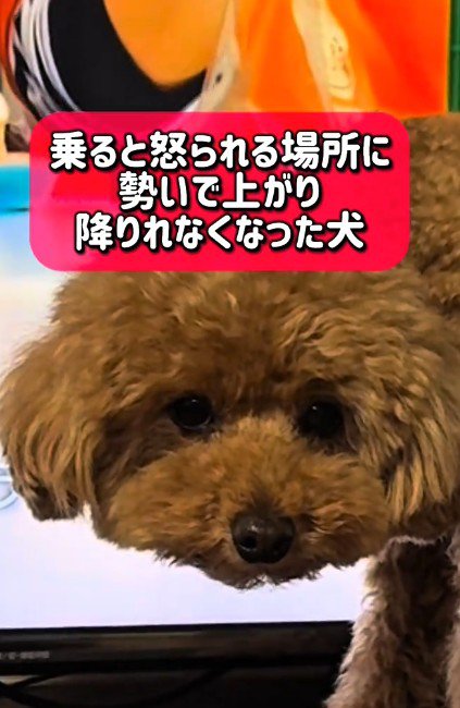 この表情！！