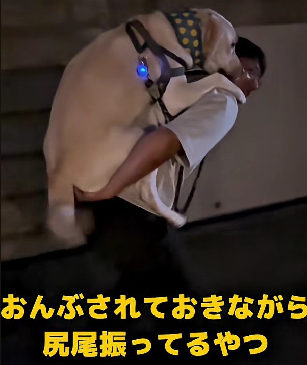 大満足な虎丸ちゃんでした