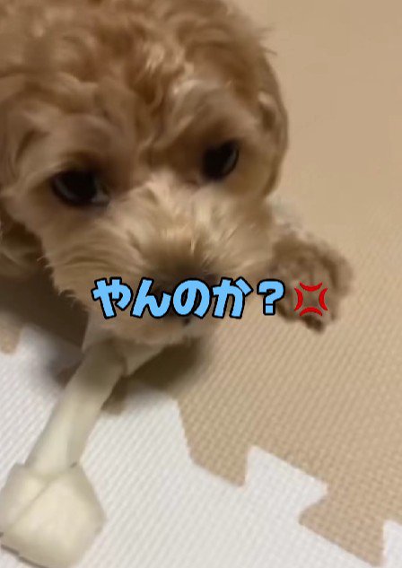 絶対に誰にも渡さない
