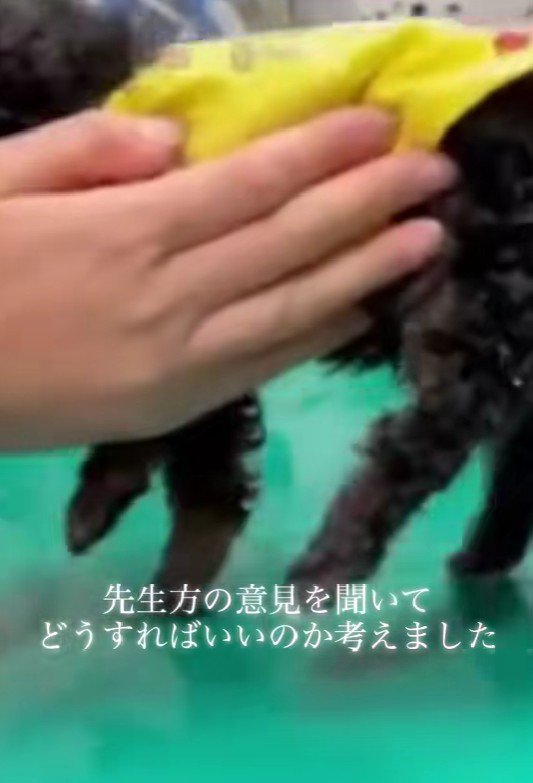 たくさん検査してみると…