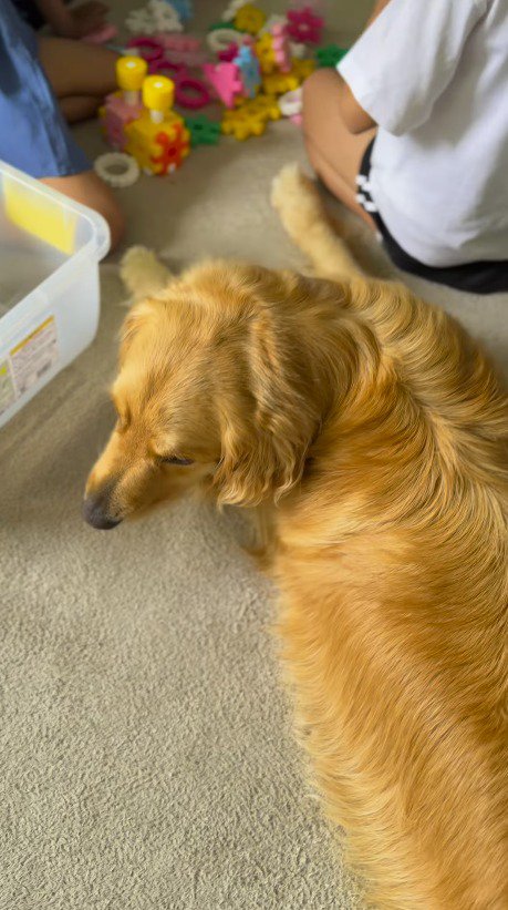 女の子の間に座って様子をうかがう犬
