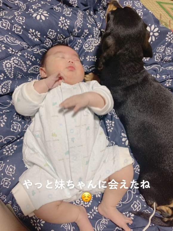 眠る赤ちゃんに寄り添うワンコ