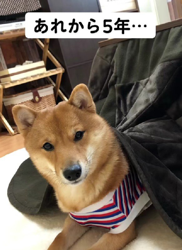 すっかり元気な姿に！