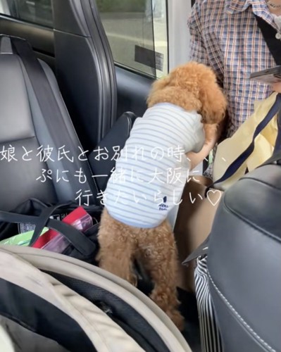 「いかないでっ」