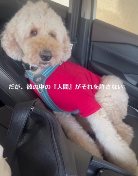 「絶対に寝ない…！！」