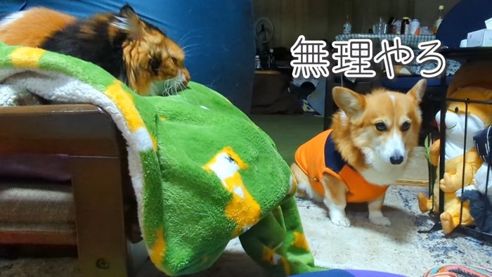 怖くて前を通れません!