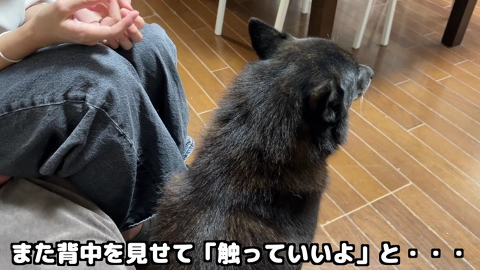 「失敗しちゃった…」