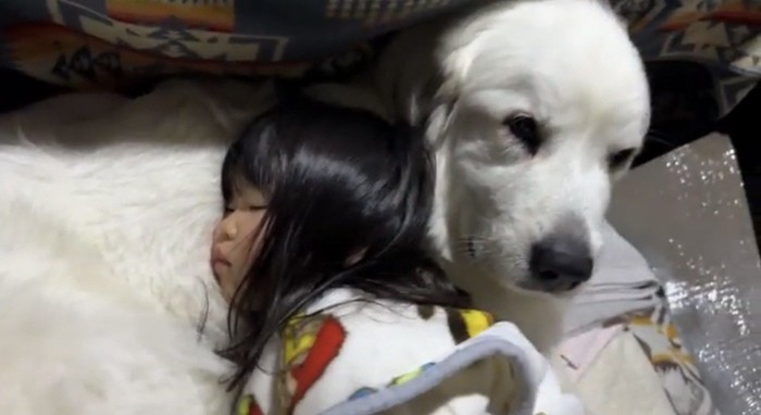犬にもたれて眠る子ども