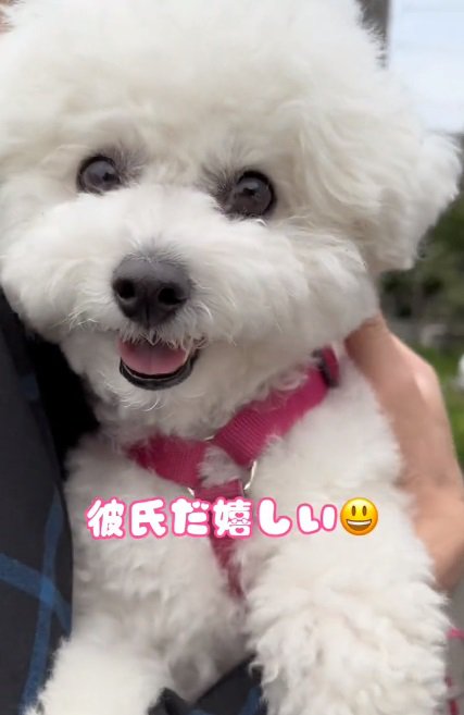 笑顔のもこちゃん