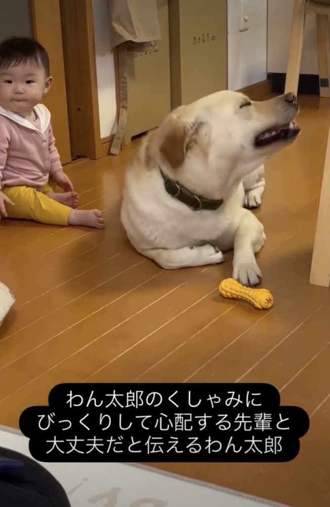 「くしゃみ出そうっ」