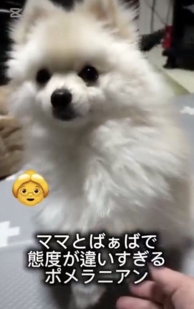 ばぁばのナデナデ時