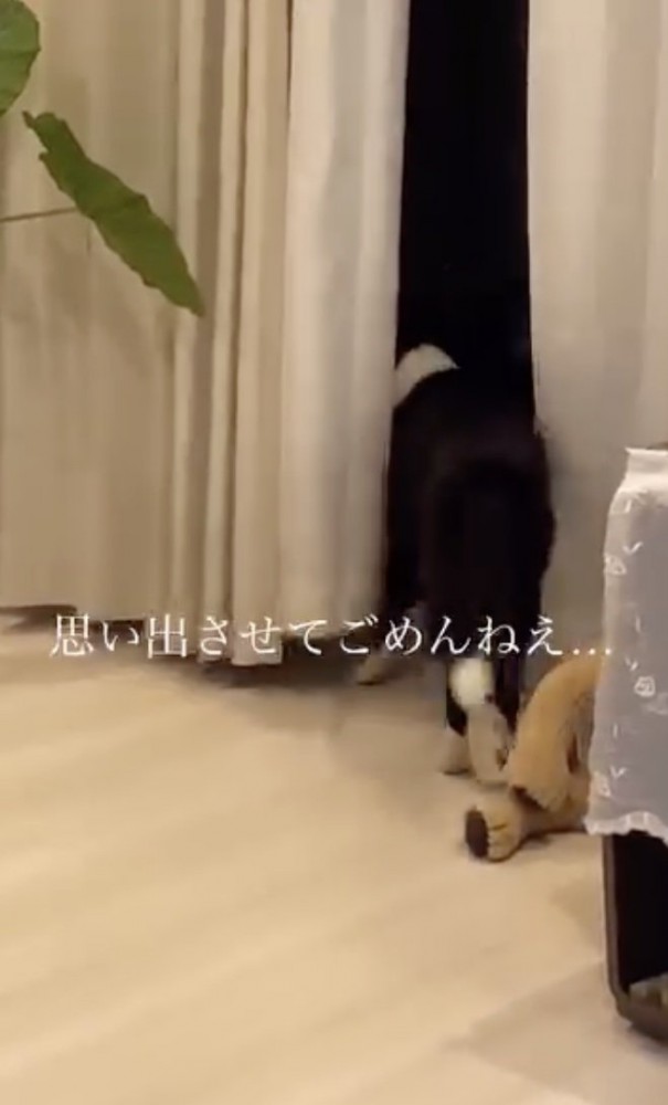 ごめん…