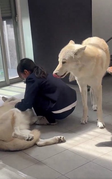 お姉ちゃんが帰宅