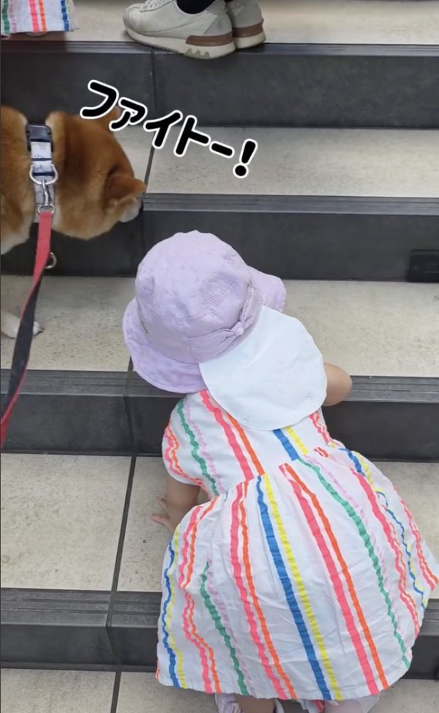 「応援にきたよ！」