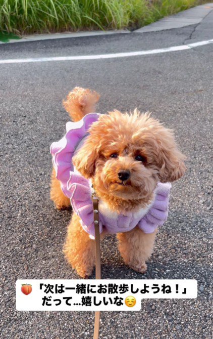 友達が増えて嬉しいね！