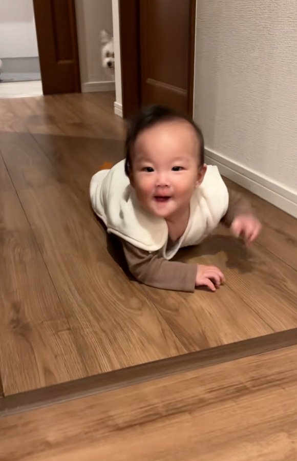 奥にいる小太郎くん