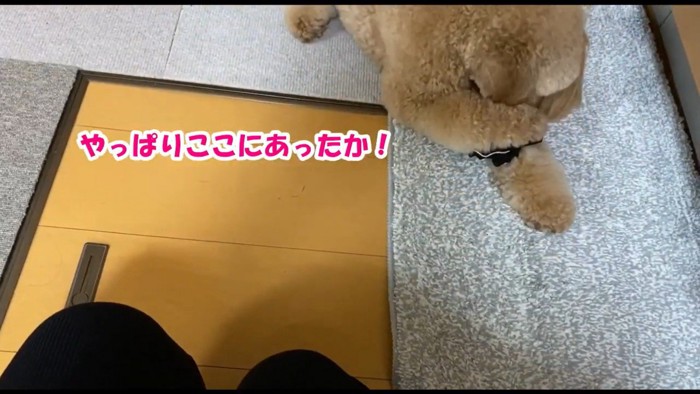 思い出して、頭にお手々を伸ばし…