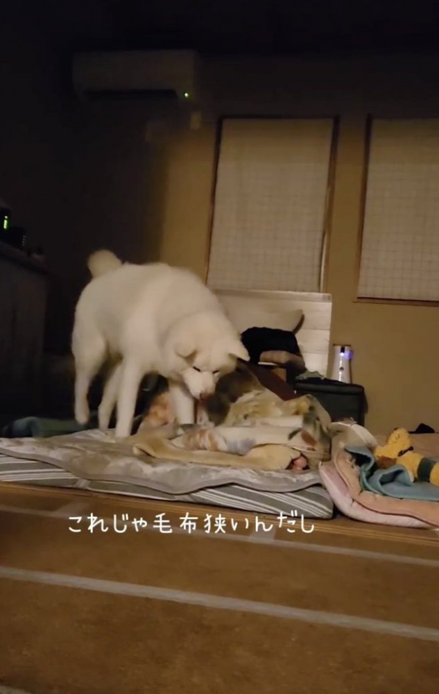 狭すぎる