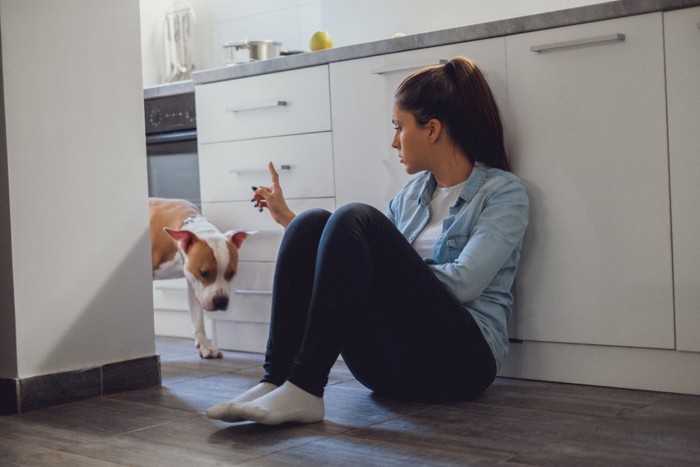 座る女性に叱られている犬