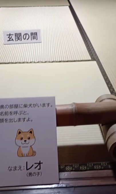 気になる看板が…！