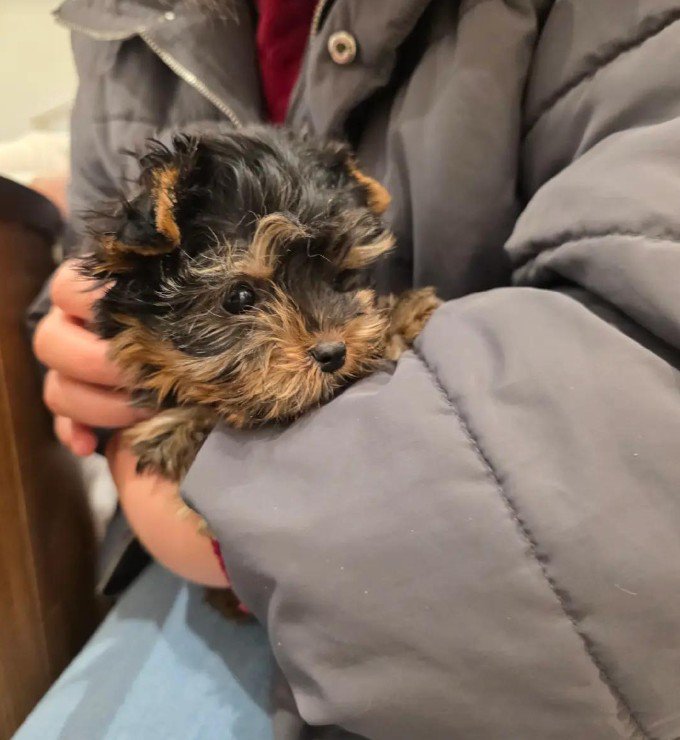 くぅちゃんの可愛い姿3